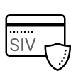 carte-grise-format-siv-2021